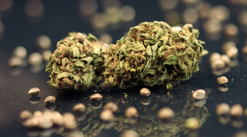 CBD Flower
