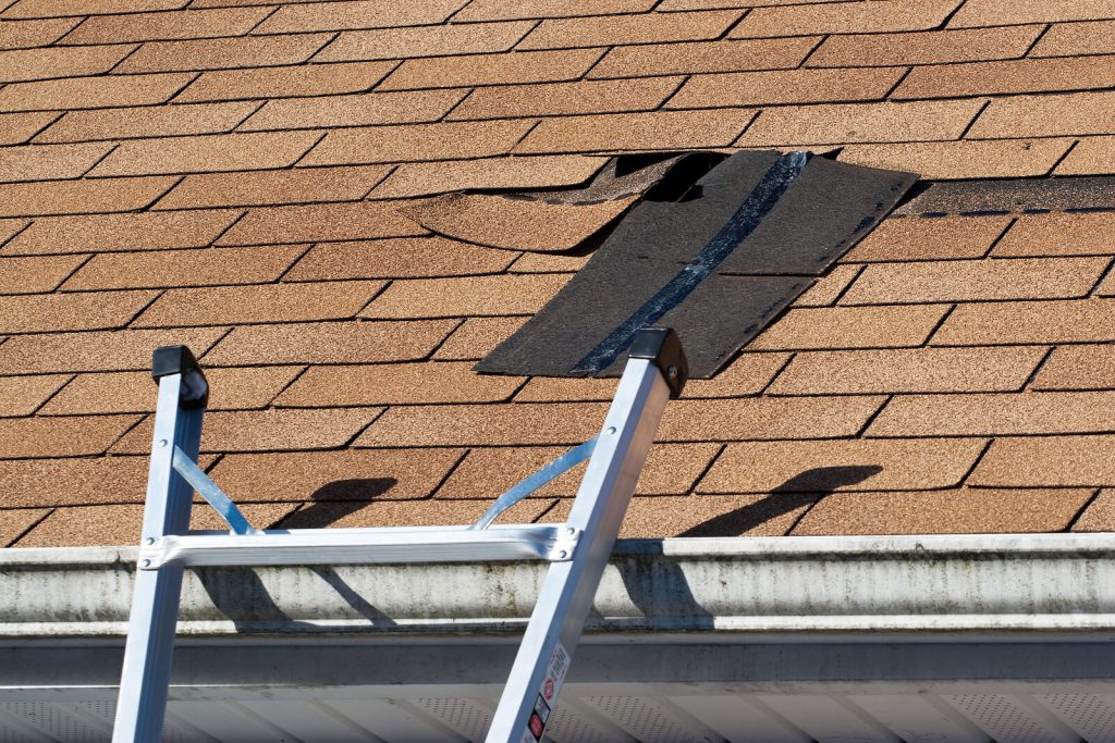 Professional Roofing Contractors