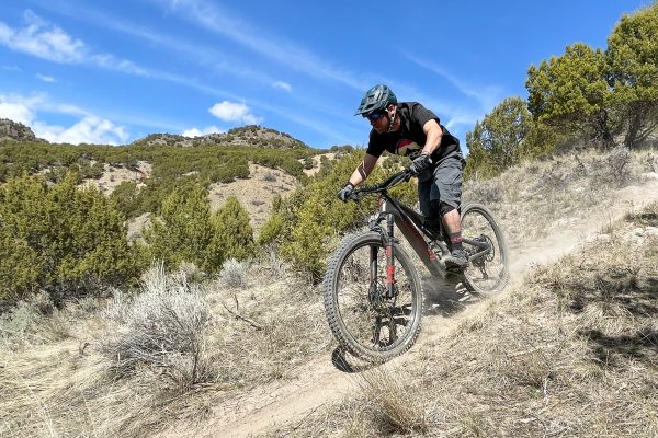 Electric Bikes 